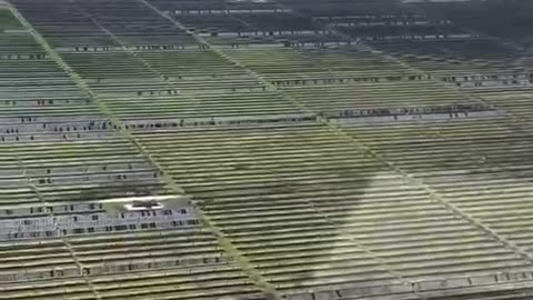 Net Zero fail: A single hail storm in Damon, Texas, destroys thousands of acres of solar panels