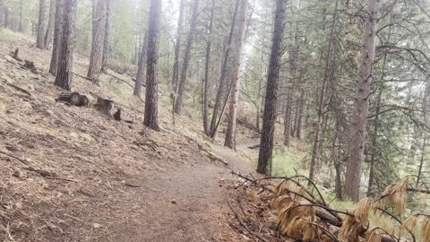 POURING RAIN on Beautiful Deschutes River Trail – Central Oregon – 4K