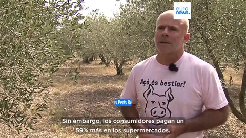 Agricultores y consumidores acusan a los supermercados de inflar los precios del aceite de oliva