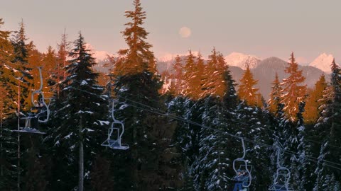 Chairs of a cable car in a Canadian forest