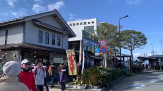 Freshest whitebait fish in Japan - Uohana Restaurant in Fujisawa Enoshima Island 魚華うおはな