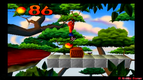 Crash Bandiccot 1 #3