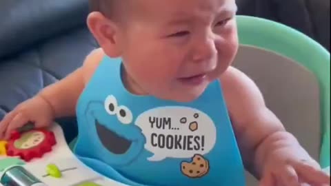 Cheese Solves Baby Crying