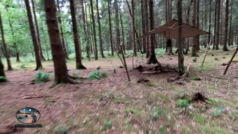 Woodland wildcamping