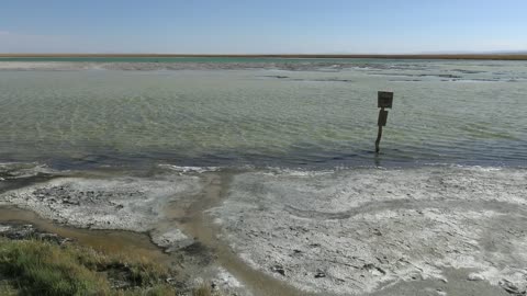 Laguna Celar in Atacama desert, Chile