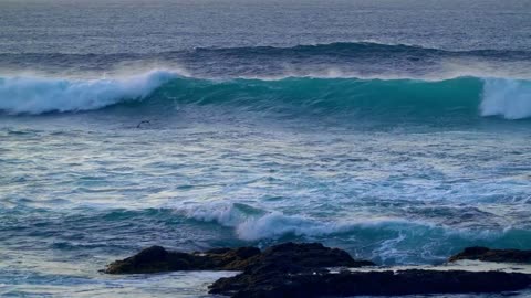 Sonidos Relajante de Olas del Mar y Gaviotas