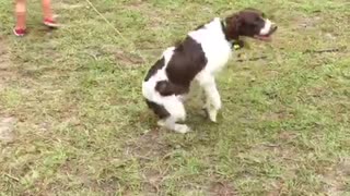 Little girl has trouble walking her dog