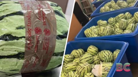 $5 million worth of meth disguised as watermelons found at California customs checkpoint