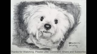 Art || Sketch || A Lovely Puppy (IV)