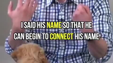 How to Teach Your New Puppy Their Name