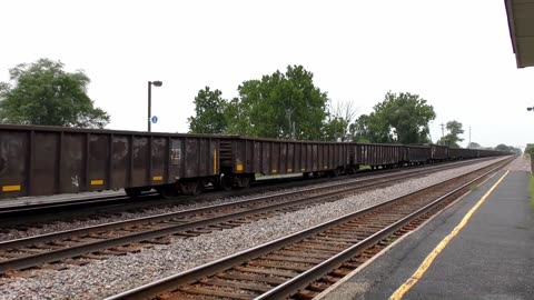 NS 1071 CNJ Heritage and ex-LMS CN Blue at Park Moabi, CA