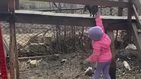 So adorable, so cute #shorts #shortvideo #video #virals #videoviral