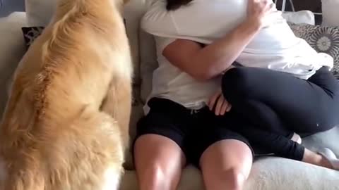 Dog Is Jealous Of Brothers Girlfriend