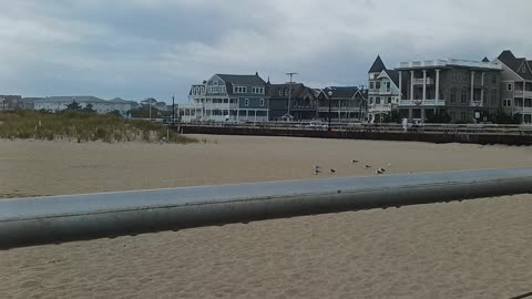 Ocean Grove, NJ 3