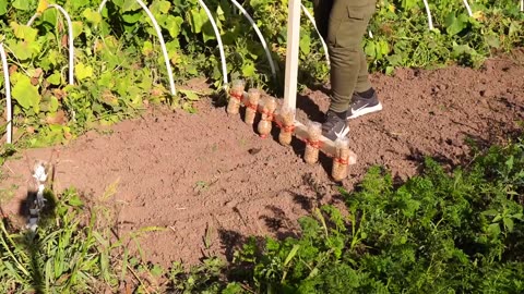 Useful Gardening Hacks To Must Know When Starting Gardening