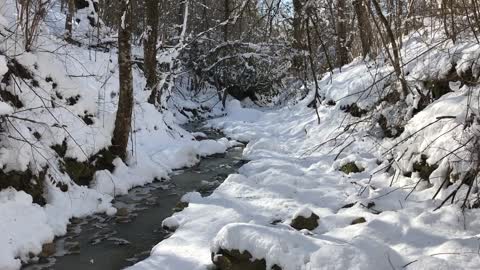 Snowy River - Winter Stream - Flowing Water - Sounds for Sleeping - White Noise - 30 min