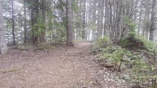 The Bathrooms at Meditation Point, centralized near Backcountry Campsite #3 – Timothy Lake – 4K