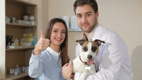 Male vet doctor posing with dog and it's owner