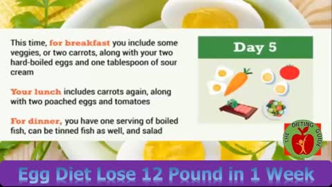 Loose belly fast quick and easy with egg diet