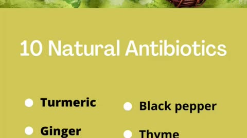 Best 10 Natural Antibiotics Home Remedies