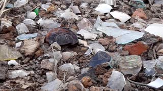 Mudlarking finding old coins