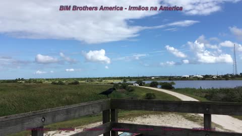 Viera Wetlands + Ritch Grissom Memorial Park + MELBOURNE + FLORIDA + ESTADOS UNIDOS - Part 5/8