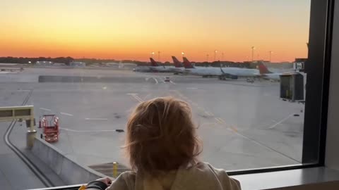 Exploring the Fascinating World of Airplanes with a Curious Toddler