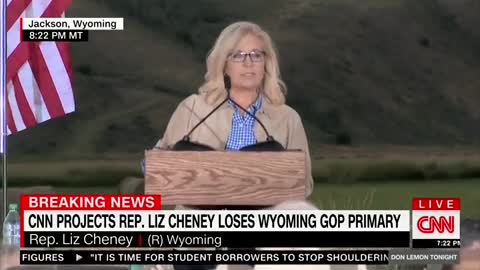 Liz Cheney's concession speech, comparing herself to Abraham Lincoln