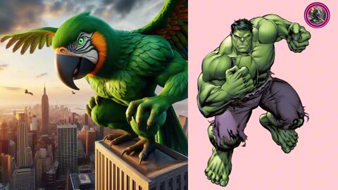 Superheroes But Giant Owl & Giant Parrot (Marvel &DC )