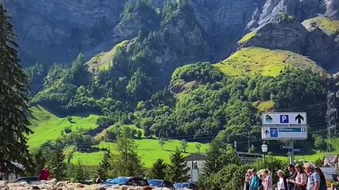 Alpine cattle and sheep down the mountain festival