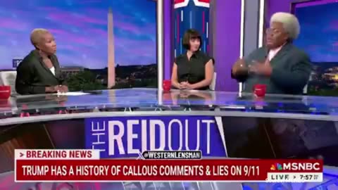 “Despicable As He Is”: MSNBC’s Joy Reid Devotes Segment to Attacking Trump Supporters [WATCH]