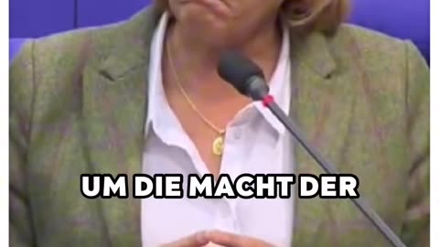 Beatrix von Storch (AfD) - Grüner Demokratiefeind kriegt Klartext!