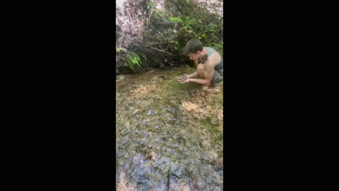 Boy finds ancient bones