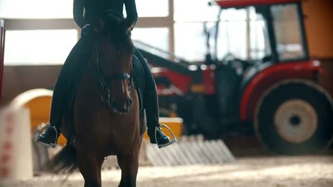 A woman riding a dark brown horse on the hippodrome