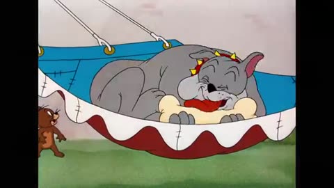 Tom and jerry funny clip