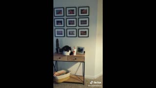 This Cat Loves Knocking Stuff Over - Wait For The End!