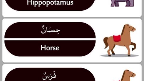 Learn Arabic