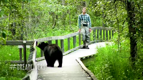 Bear appears from nowhere, has standoff with fisherman