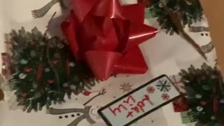 Cheeky Dog Opens Christmas Present Early