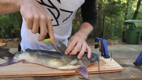 How to Clean and Cook Delicious Catfish