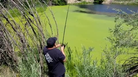 Old Farts Fishing - Fishing The Gold Field Ponds