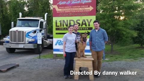 German Shepherd with Aggression Issues & German Shepherd Dog Trainers