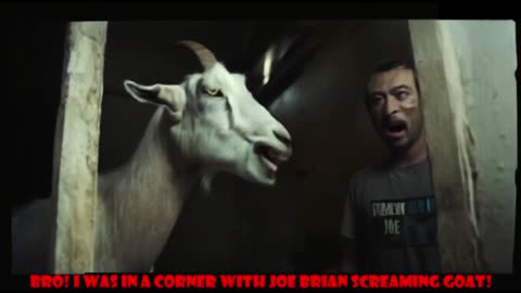 Bro! I Was In A Corner With Joe Brian Screaming Goat! (Misheard Lyrics)