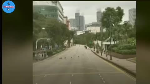 Watch: Otters in Singapore cross road with police escort