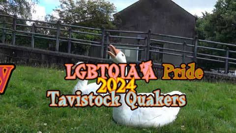 Tavistock Devon England Gay LGBTQIA+ Pride 2024 The Quakers in the Park