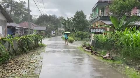 Heavy Rain Falls Almost Every Day in My Village Rain Walk ASMR Rain Sounds For Sound Sleep