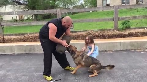 German Shepherd Protects Babies and Kids Compilation