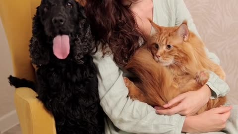 A Woman Holding a Cat While Sitting Beside a Dog · Free Stock Video