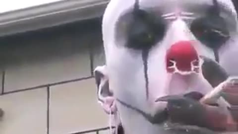 Funny viral joker video #trending #viral Funny viral joker video #trending #viral