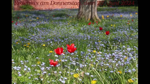 Rosenius am Donnerstag, dem 27. Juni 2024 zu Römer 3,22